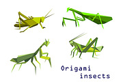 Green origami grasshoppers and manti