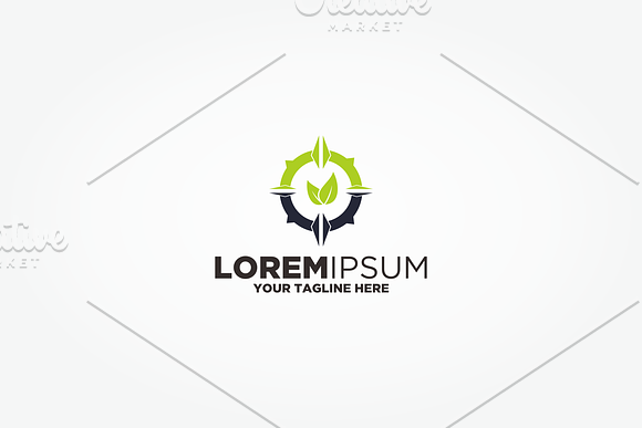 Compass Leaf in Logo Templates - product preview 1