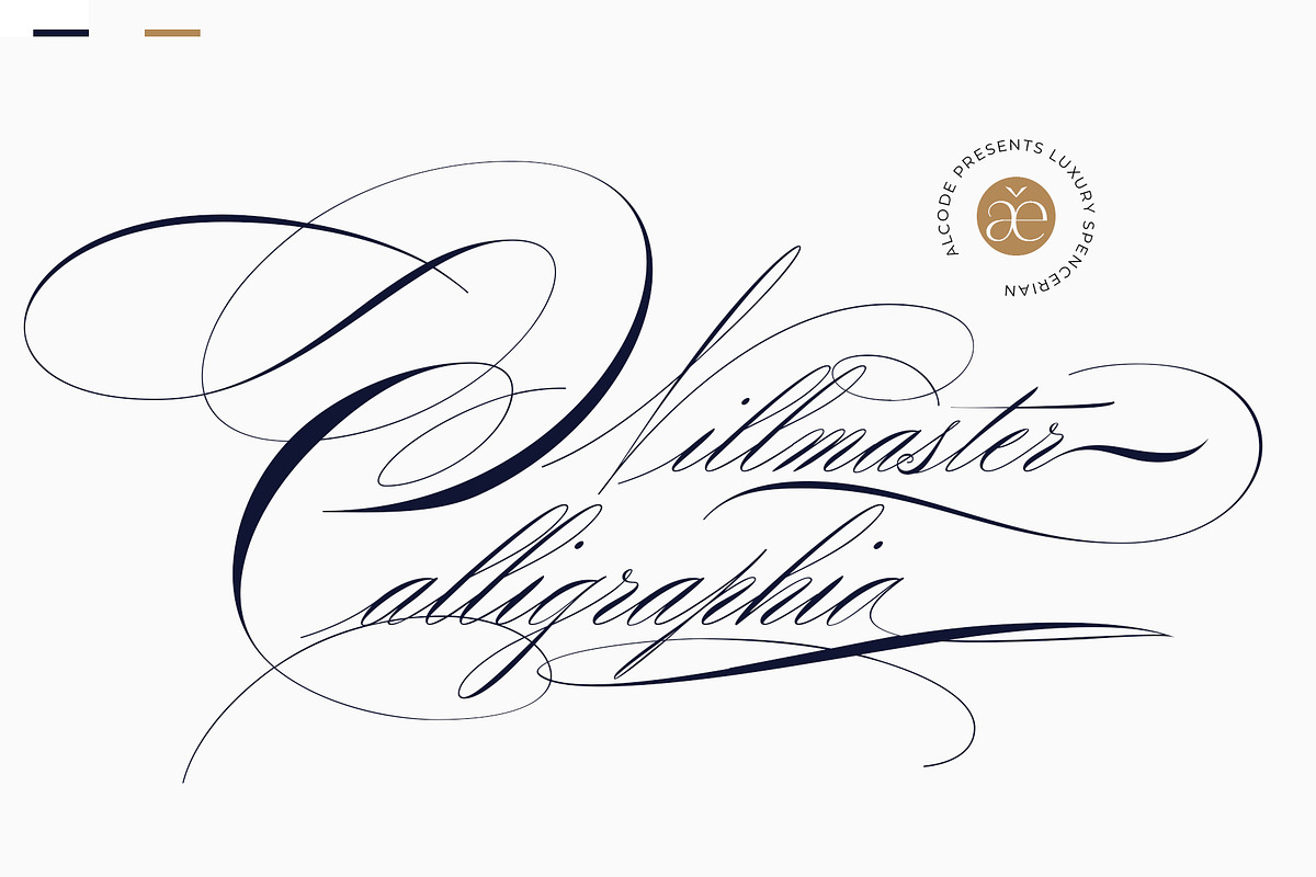 Willmaster Calligraphia in Script Fonts - product preview 8