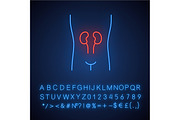 Healthy kidneys neon light icon