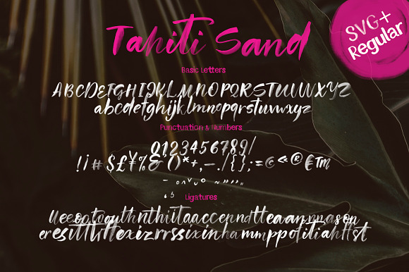 Tahiti Sand. Fonts & Graphics. in Script Fonts - product preview 19