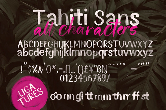 Tahiti Sand. Fonts & Graphics. in Script Fonts - product preview 20
