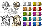 Sheep on meadow, yarn woolen thread
