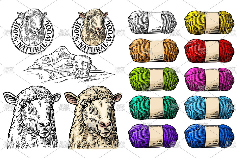 Sheep on meadow, yarn woolen thread in Illustrations - product preview 8