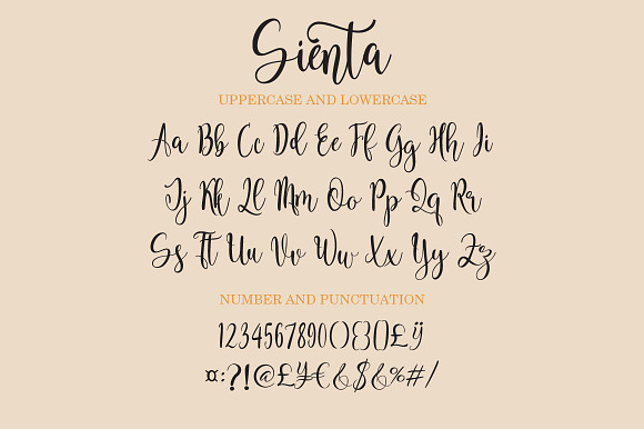 Sienta in Script Fonts - product preview 8