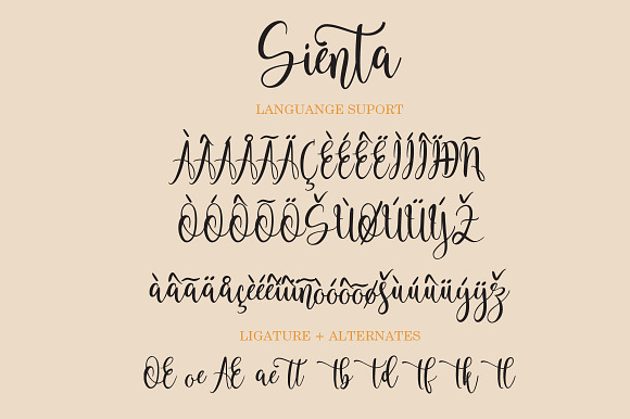 Sienta in Script Fonts - product preview 9