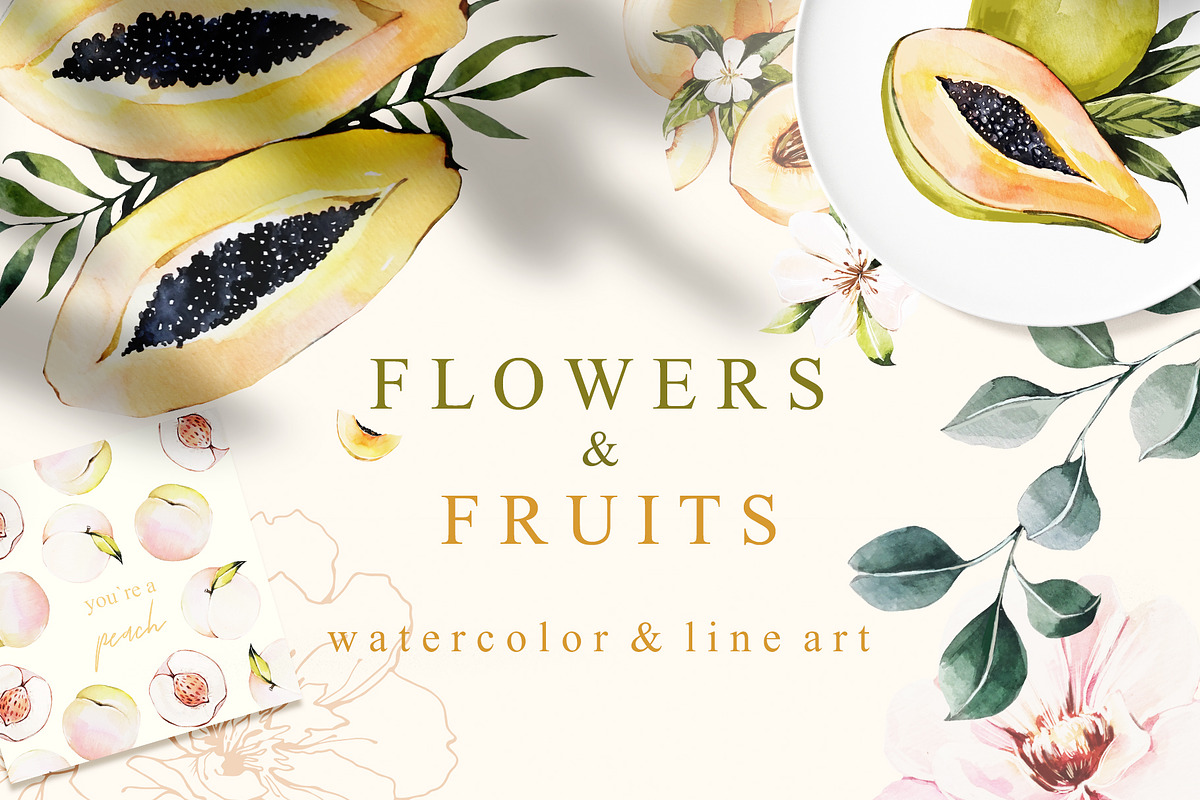 FLOWERS & FRUITS in Illustrations - product preview 8