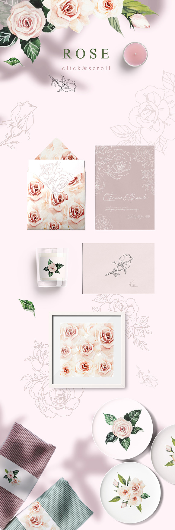 FLOWERS & FRUITS in Illustrations - product preview 9