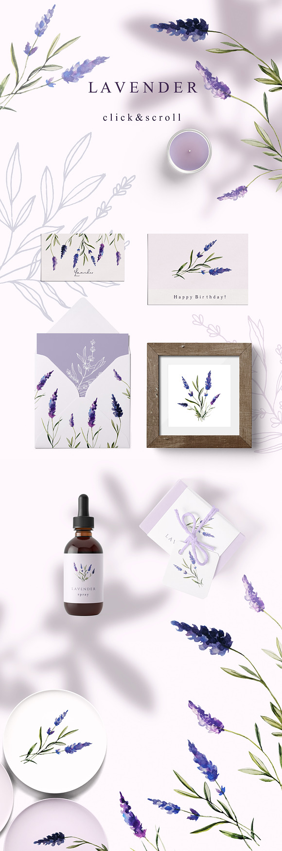 FLOWERS & FRUITS in Illustrations - product preview 10