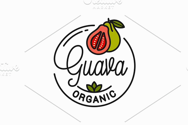 Guava fruit logo. Round linear logo.