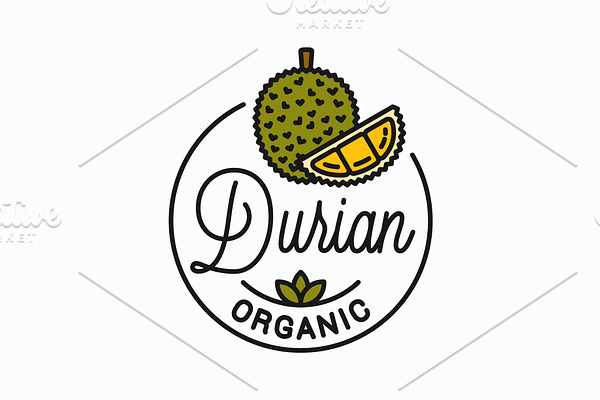 Durian fruit logo. Round linear logo