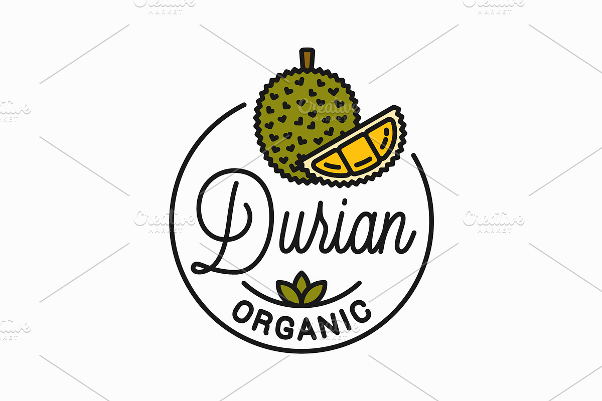 Durian fruit logo. Round linear logo in Illustrations - product preview 8