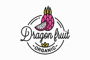 Dragon fruit logo. Round linear logo
