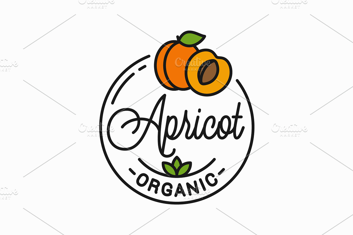 Apricot fruit logo. Round linear. in Illustrations - product preview 8