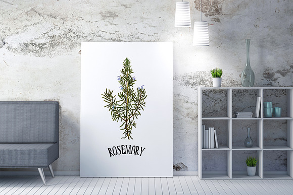 Medicinal Herb Collection 9 in Illustrations - product preview 7