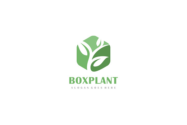 Box Plant Logo