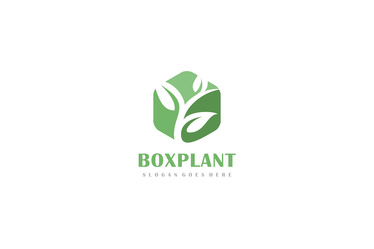 Box Plant Logo in Logo Templates - product preview 8