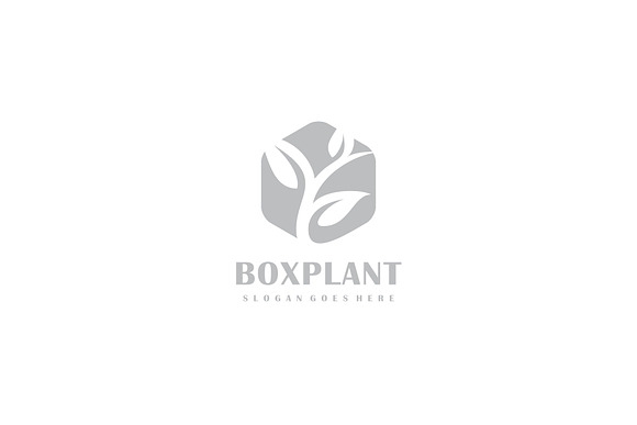 Box Plant Logo in Logo Templates - product preview 1