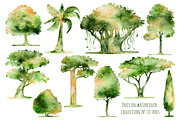 Collection of 10 hand drawn trees
