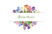 Spring flowers, floral card with