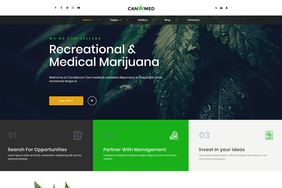Canimed medical marijuana dispensary in WordPress Business Themes - product preview 8