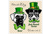 Boxer and Jack Russell Terrier - Dog