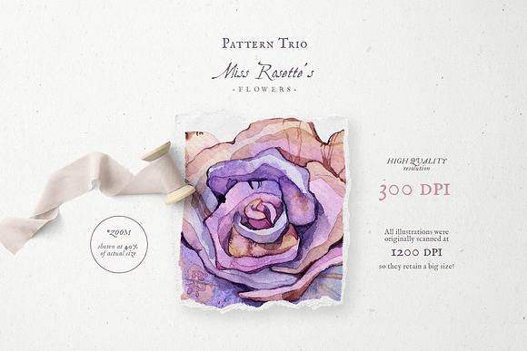 Pattern Trio Miss Rosette's Flowers in Patterns - product preview 1