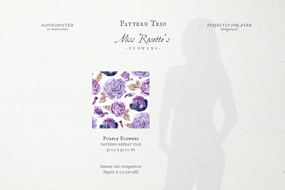 Pattern Trio Miss Rosette's Flowers in Patterns - product preview 6