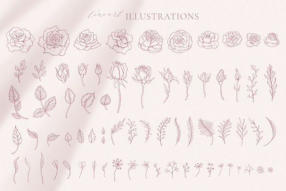 Rose Flower Patterns & Illustrations in Patterns - product preview 9