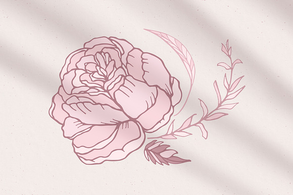 Rose Flower Patterns & Illustrations in Patterns - product preview 11