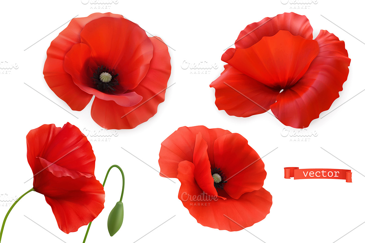 Red poppies, flowers. Poppy Day in Icons - product preview 8