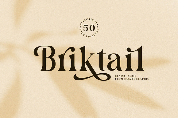 Briktail//Modern Serif Font in Serif Fonts - product preview 2