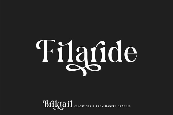 Briktail//Modern Serif Font in Serif Fonts - product preview 3