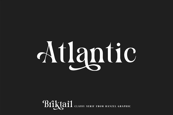 Briktail//Modern Serif Font in Serif Fonts - product preview 9