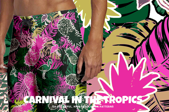 Carnival in the Tropics in Patterns - product preview 4