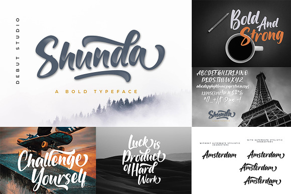 The Lovely February Bundle in Script Fonts - product preview 11