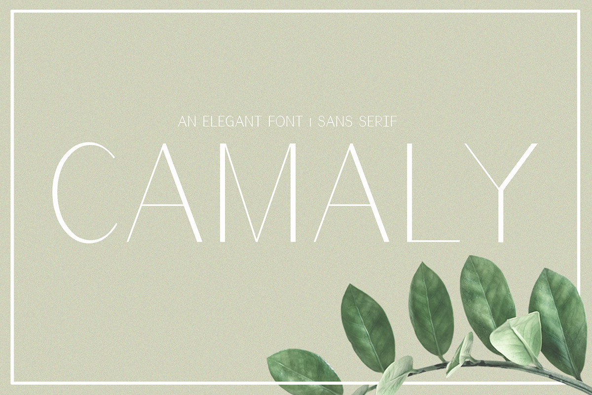 Camaly | san serif in Sans-Serif Fonts - product preview 8
