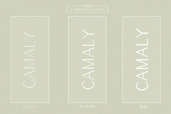 Camaly | san serif in Sans-Serif Fonts - product preview 4