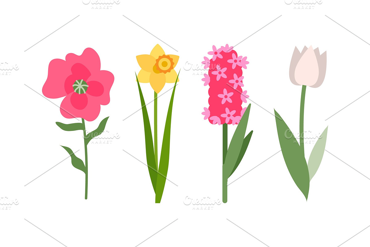 Tulip and Daffodil Flowers Set, Pink in Illustrations - product preview 8