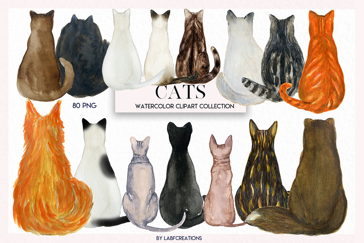Cats Watercolor clipart. Back of cat in Illustrations - product preview 8