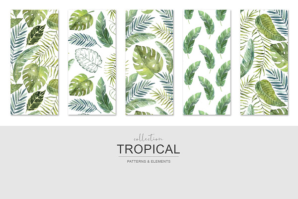 Tropical watercolor collection.