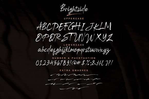 Brightside Brush Font & Extras in Display Fonts - product preview 9