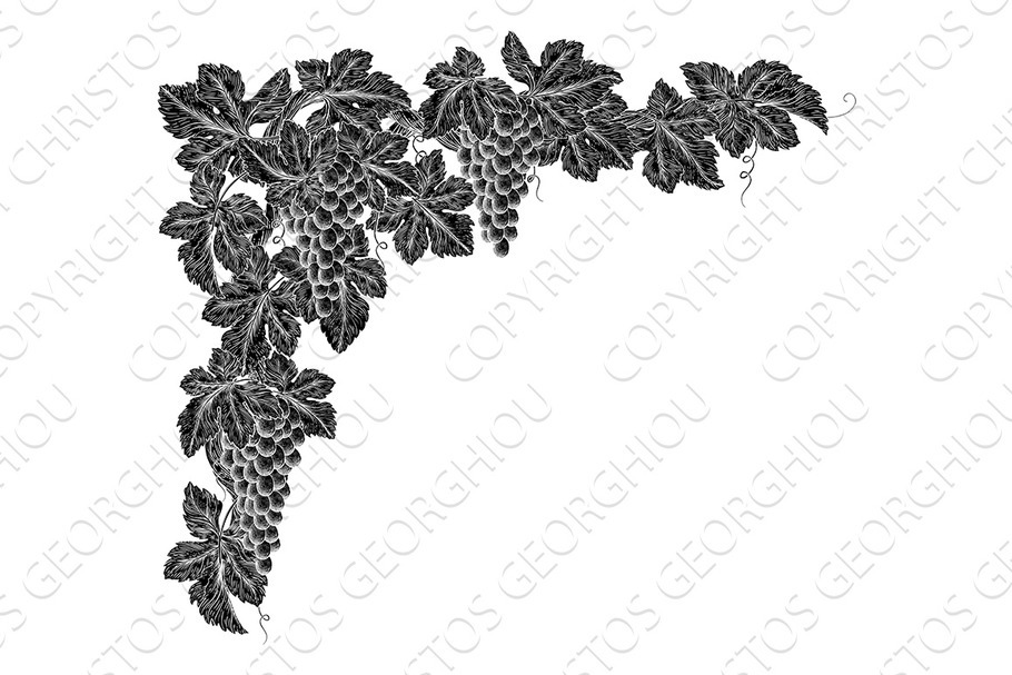 Grape Bunches On Vine Corner Border in Illustrations - product preview 8