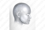 Cyber 3D Technology Face Digital