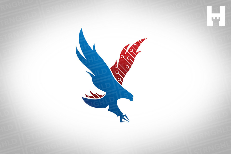 American Eagle Logo Design Template in Logo Templates - product preview 8