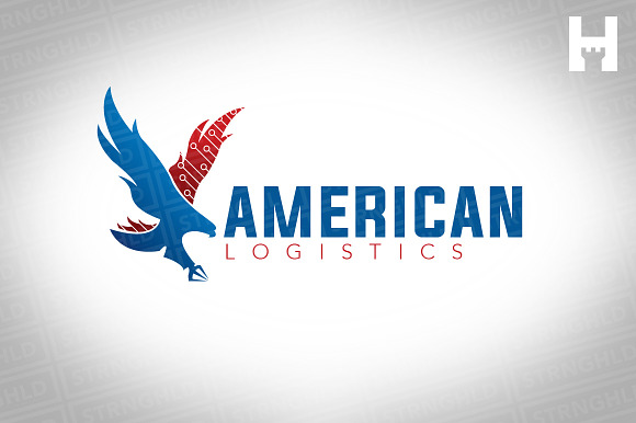 American Eagle Logo Design Template in Logo Templates - product preview 1