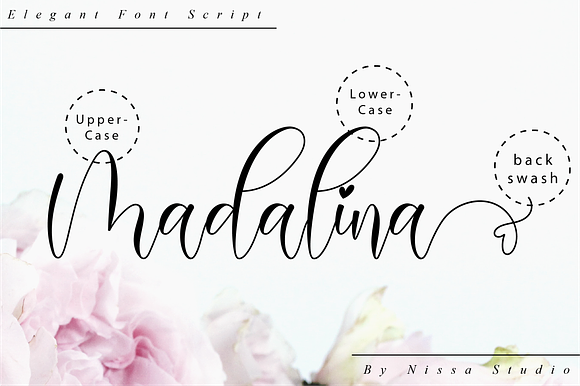 Madalina Script in Script Fonts - product preview 9