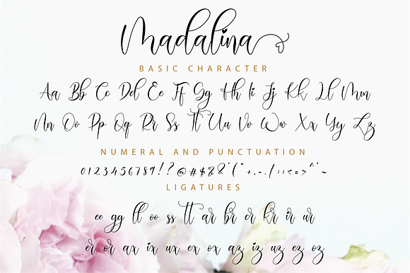 Madalina Script in Script Fonts - product preview 10