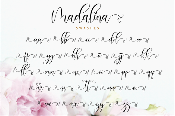 Madalina Script in Script Fonts - product preview 11