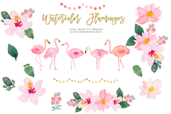 Flamingo Watercolor image